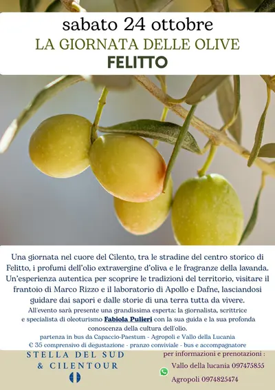 giornata dell’olio — Felitto